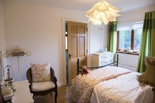Отели типа «постель и завтрак» Cherrytree House B&B Мовилл Стандартный двухместный номер с 1 кроватью-1