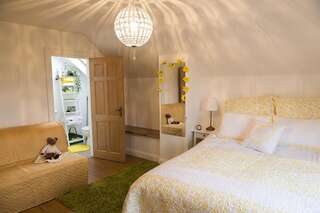 Отели типа «постель и завтрак» Cherrytree House B&B Мовилл Большой двухместный номер с 1 кроватью-1